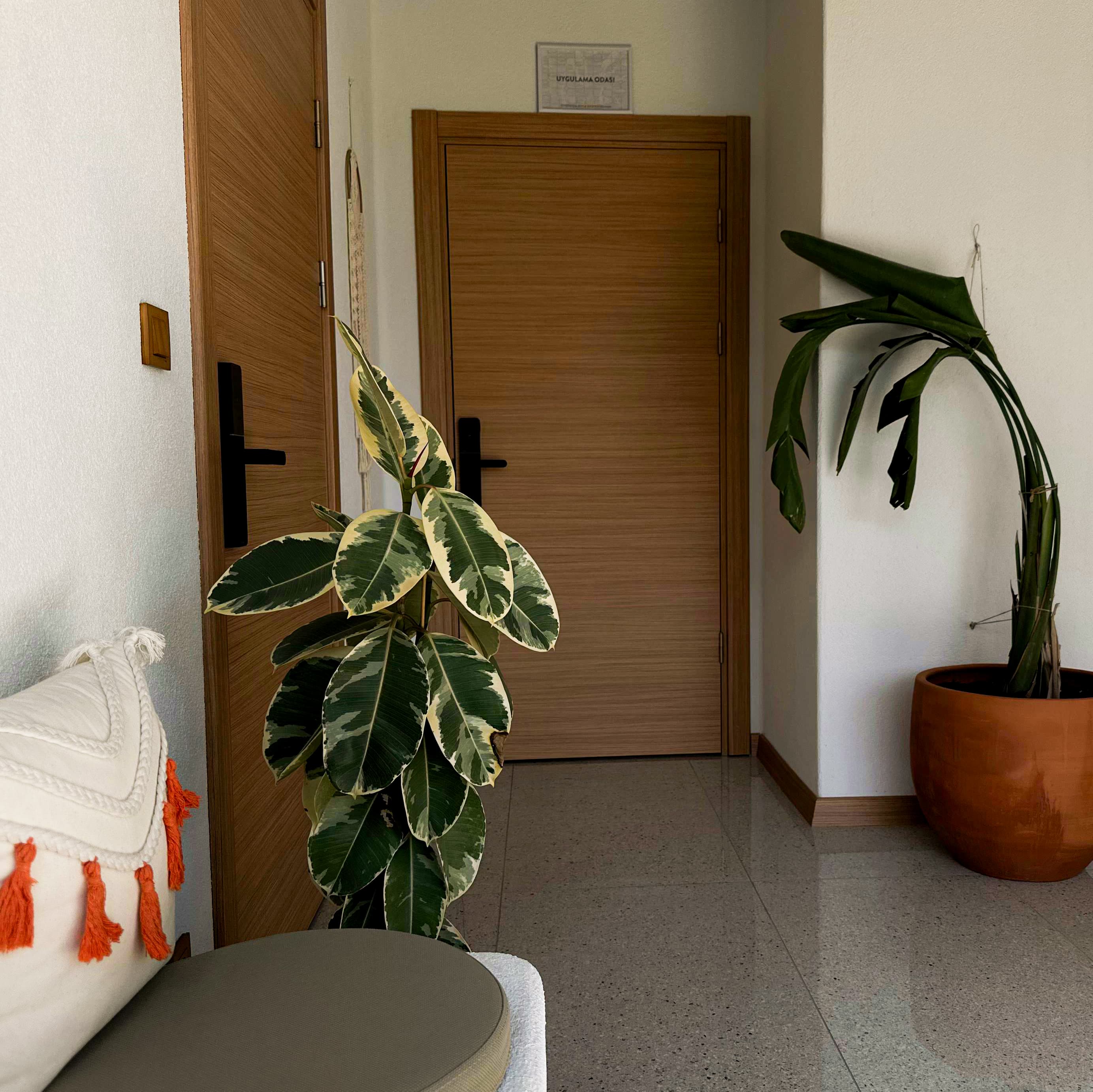 Günlük su tüketimi önerileri